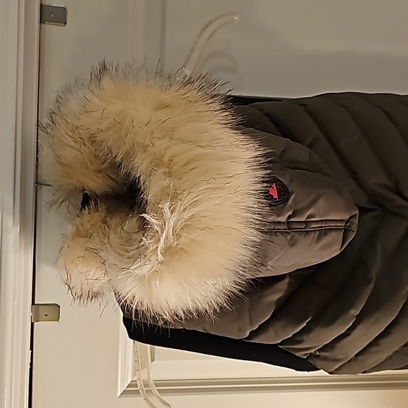 Pajar Pup Coat with hood XXL - Picture 3 of 16